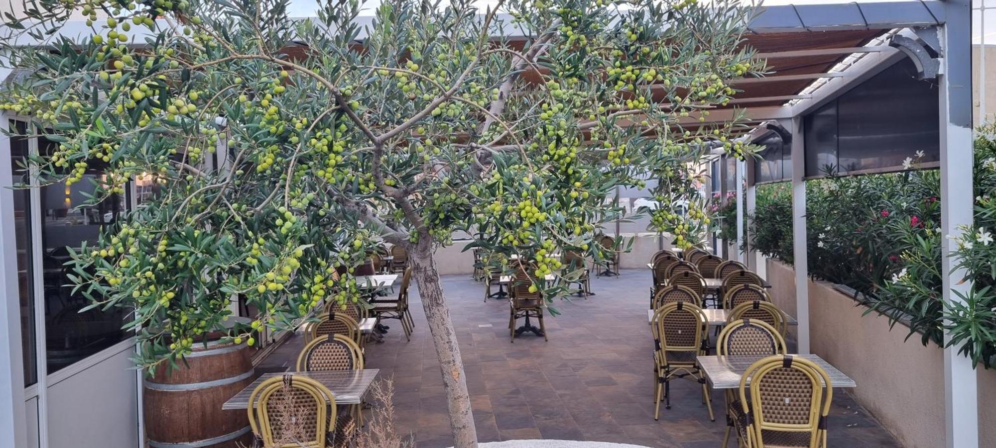 Hotel Restaurant Calypso Fos-sur-Mer Luaran gambar